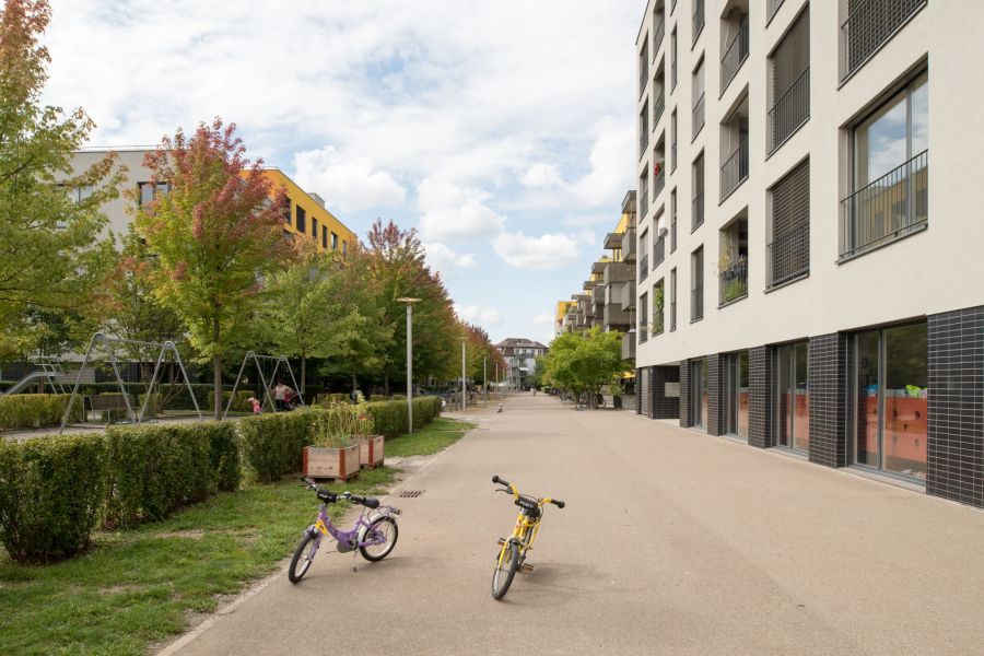 Die Binzallee soll Teil der neuen Velovorzugsroute zwischen Triemli und Giesshübel werden.