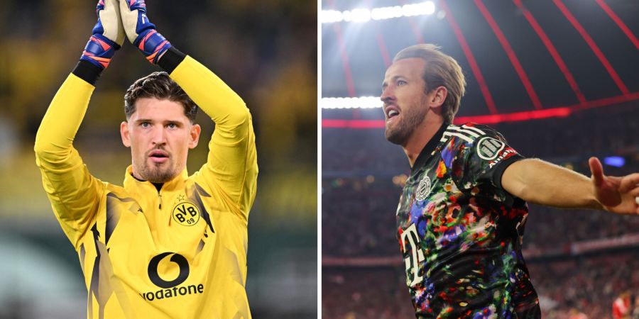BVB Bayern