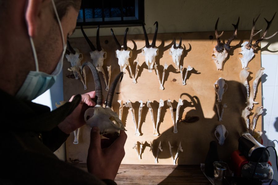 Fleisch essen, aber die Jagd ablehnen?