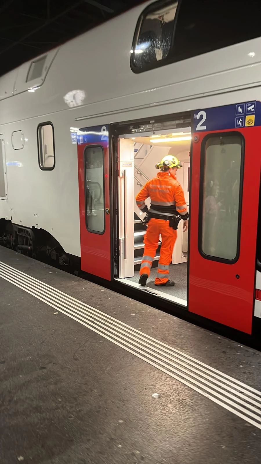 Der Zug wurde schliesslich zurück an den Zürich Hauptbahnhof transportiert.