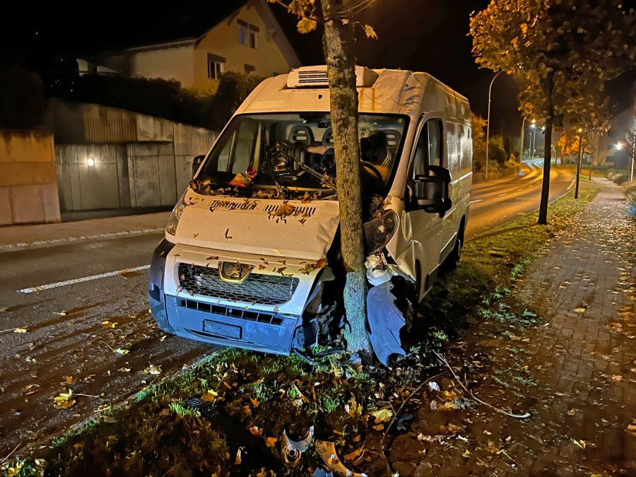 Lieferwagen in Baum.