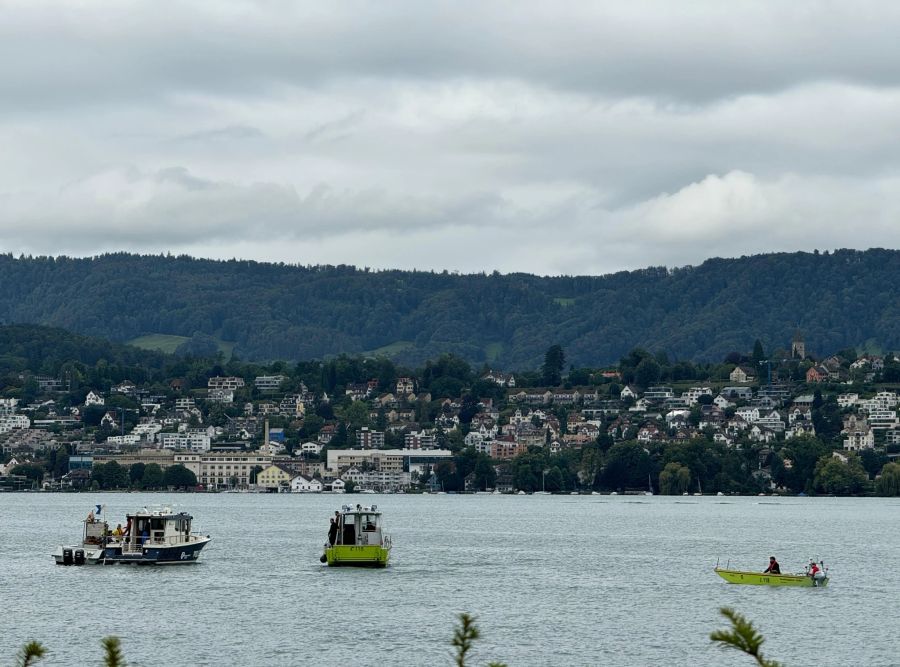 In Küsnacht ZH ist ein Auto in den See gestürzt.