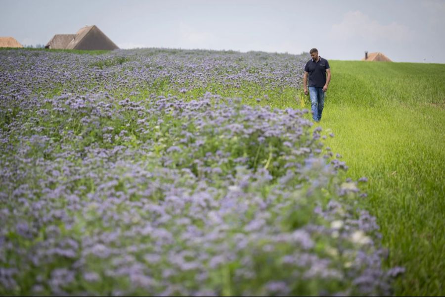 Biodiversität