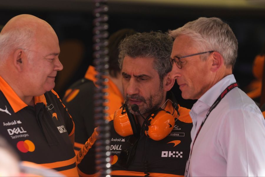 Formel 1 Andrea Stella