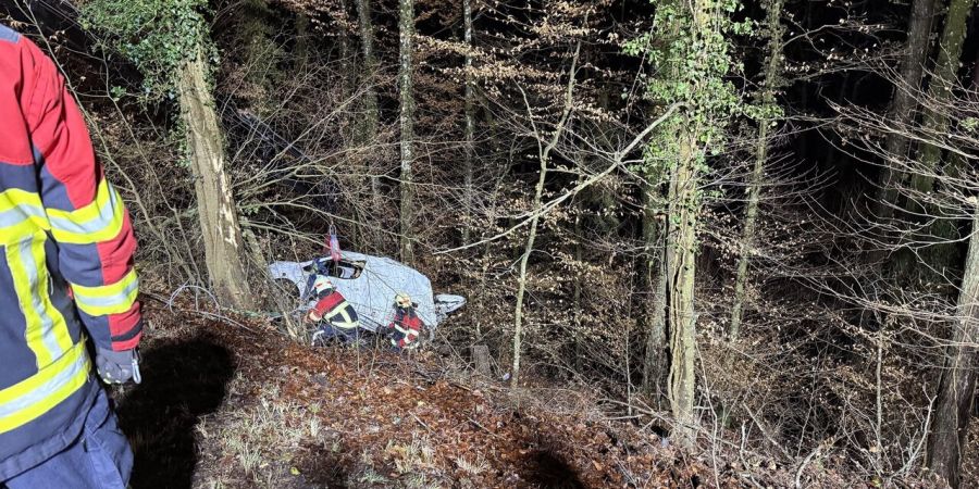 Selbstunfall Dörflingen