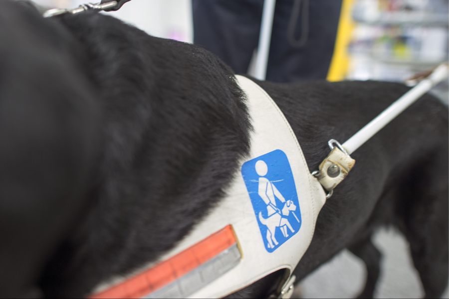 Auch ausserhalb von Flugzeugen haben Blinde wegen ihrer tierischen Begleiter zu kämpfen.