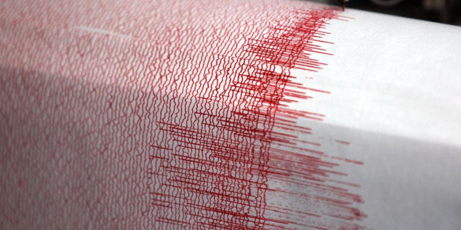ARCHIV - Seismograph einer Erdbebenwarte. Foto: Oliver Berg/dpa/Archivbild