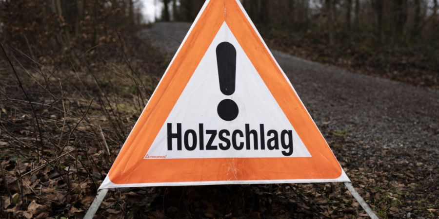 Der Krienser Hobacherwald ist für die Stadt ein Schutzwald von «zentraler Bedeutung». (Symbolbild)