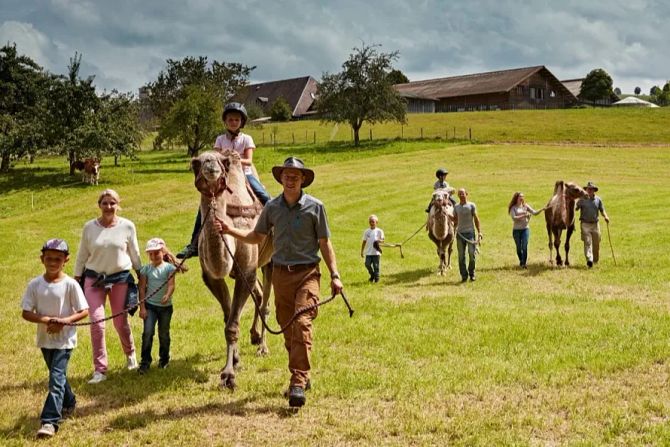 Kameltrekking Bauernhof Huttwil