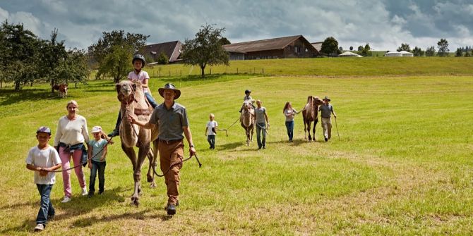 Kameltrekking Bauernhof Huttwil