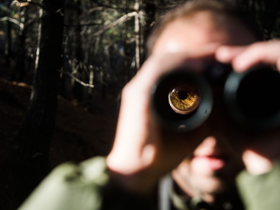 Der Fuchs machte auf die Nau.ch-Leserin keinen gesunden Eindruck: Deswegen verständigte sie den Wildhüter. (Symbolbild)