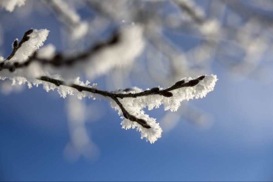 In den kommenden Tagen kehrt der Winter zurück.