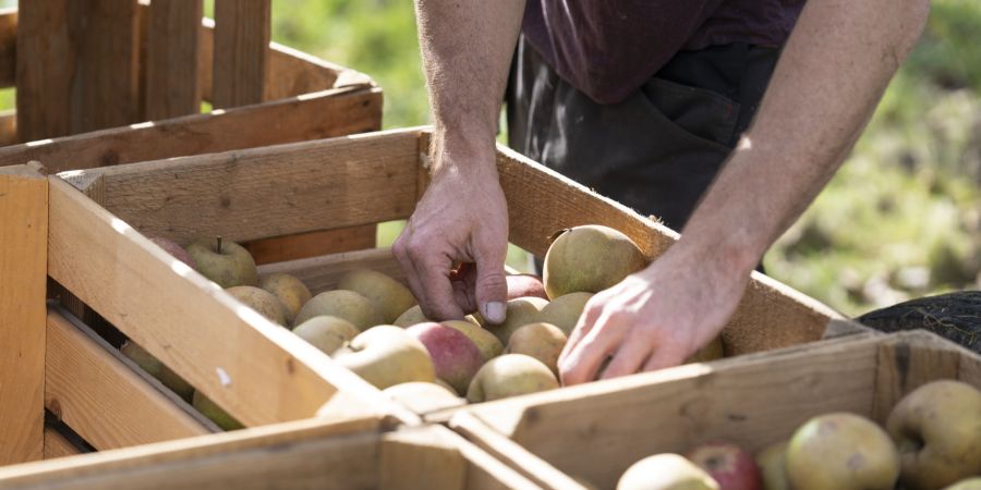 Schweizer Lebensmittel