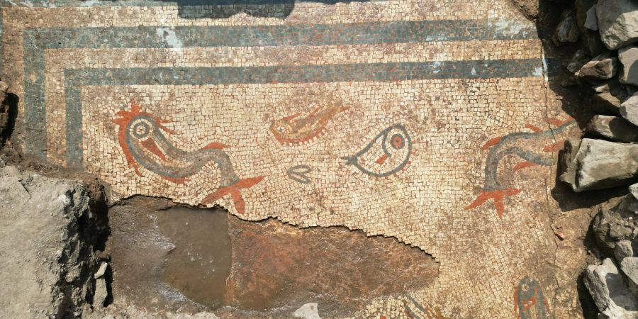 Römer Mosaik England Wroxeter