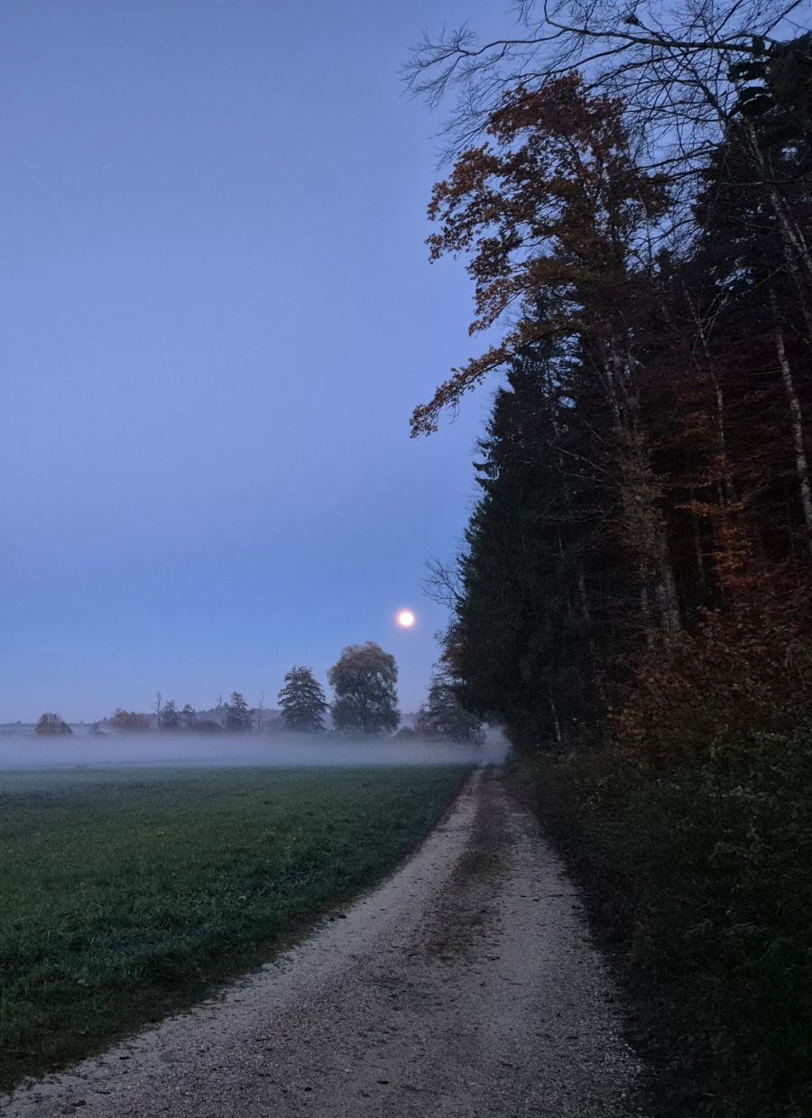 Eine Aufnahme von gestern Abend aus Grossaffoltern BE.