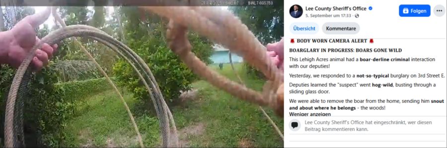 Die Polizisten greifen zum Lasso, um das Tier im Garten zu fangen.