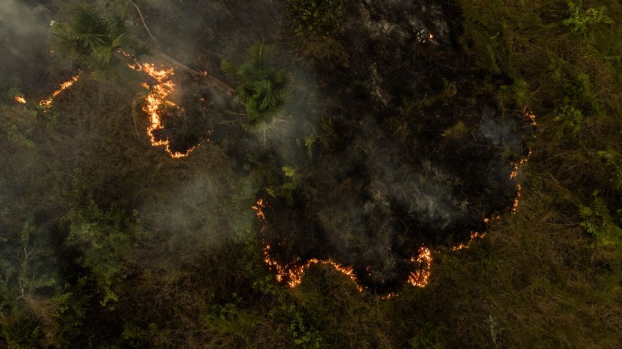 Waldbrände und illegale Brandrodungen sind unmittelbar für die Verbreitung von Krankheiten verantwortlich. (Archivbild)