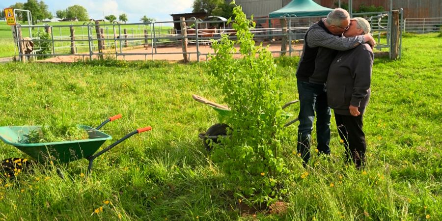Bauer ledig sucht