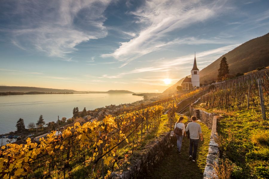 Herbst Bielersee Bern