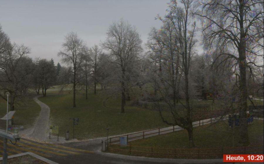 In Bern fällt etwas Schnee – hier auf dem Gurten.