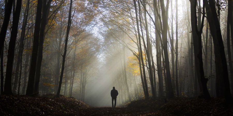 Herbstspaziergang Wetter