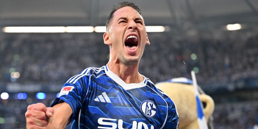 Nikola Katic FCZ Schalke