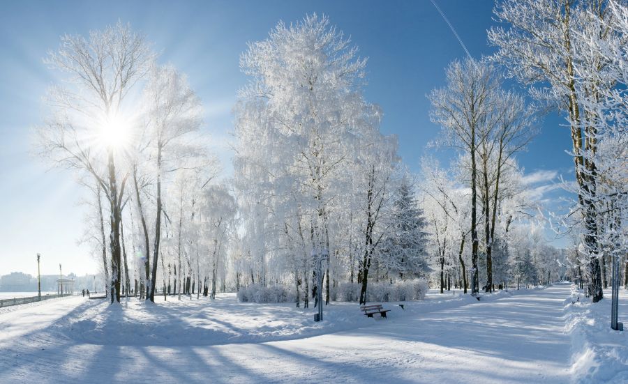 sonne winter wald