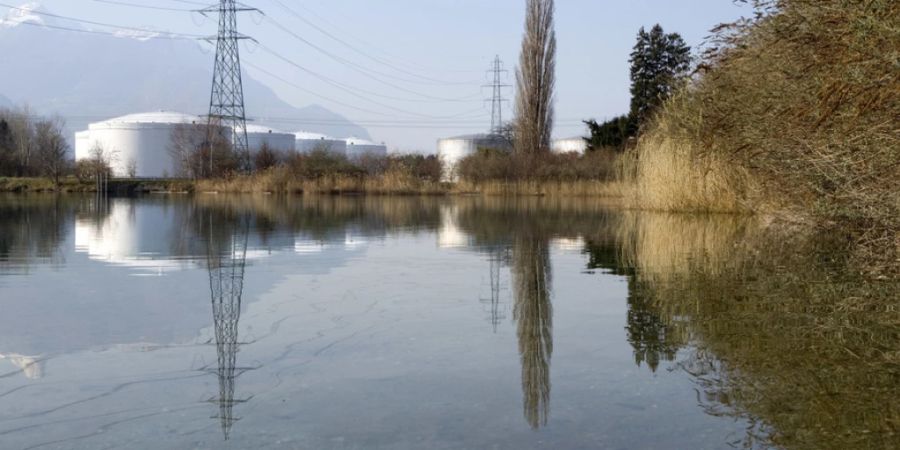 Im Weiher Les Mangettes im Unterwallis wurde bereits früher eine starke Kontamination von Fischen mit PFAS festgestellt. (Archivbild)