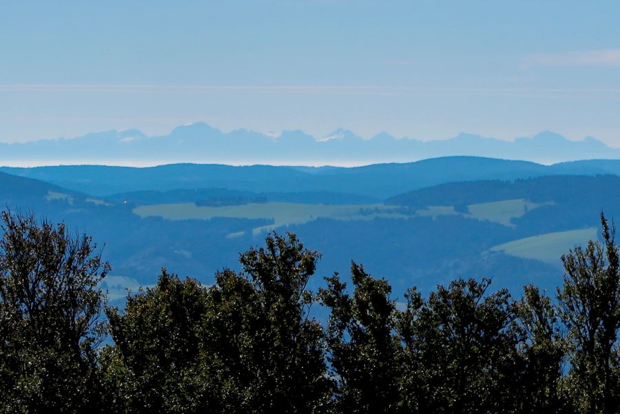 Wald Aussicht Berge Schwarzwald