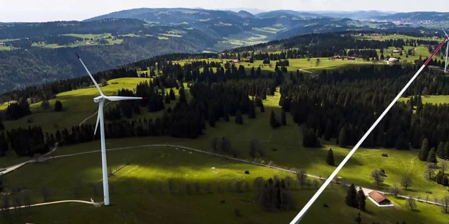 Windparkprojekt im Grünen