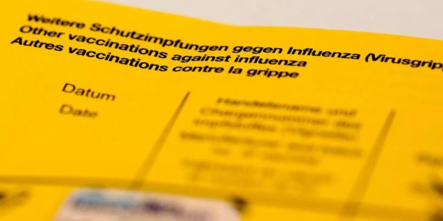 Ein Impfbuch mit den Feldern für die Impfung gegen Influenza (Virusgrippe). Foto: Jens Kalaene/zb/dpa/Archivbild