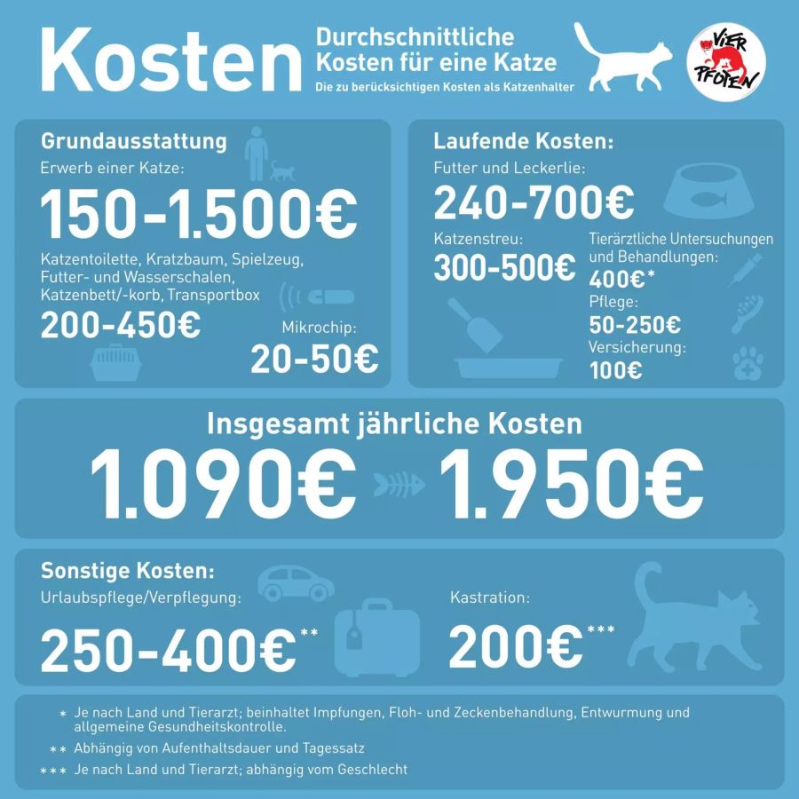 Kostentabelle Katze.