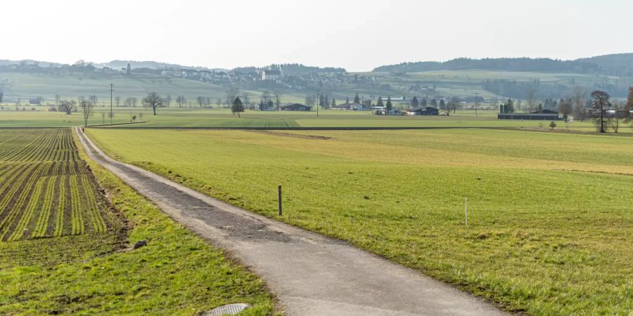 Landschaftsfoto bei Geuensee.