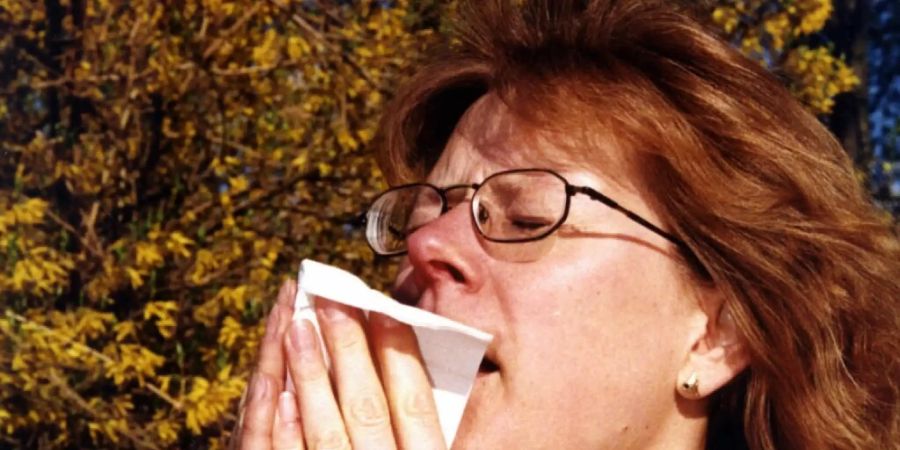 Wenn die Pollen von Bäumen und Gräsern durch die Luft fliegen, beginnt die Leidenszeit der Allergikerinnen und Allergiker. Die Pollensaison wurde gemäss einer neuen Studie im Zuge des Klimawandels länger und intensiver. (Themenbild)