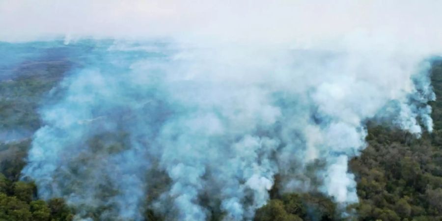 Brand im brasilianischen Sumpgebiet Pantanal