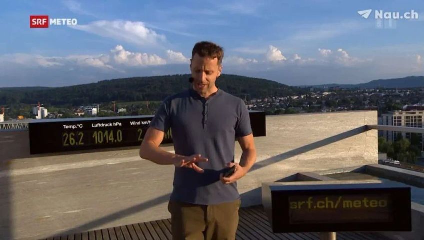 wespenstich-srf