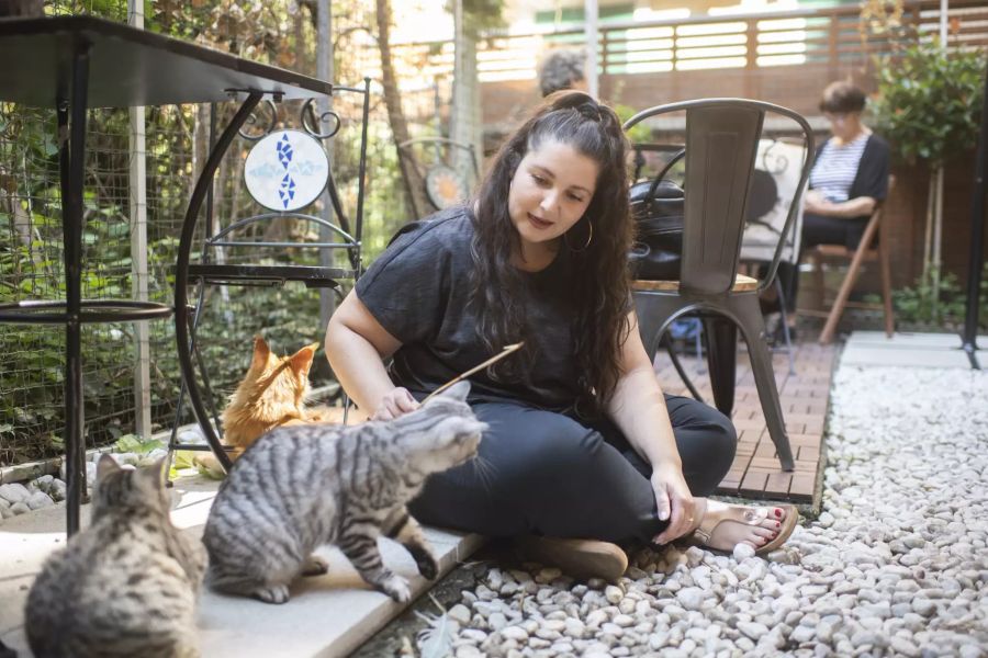 Katzencafé Casa del Gato