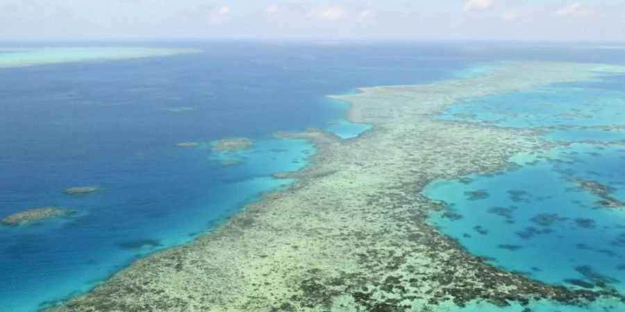 Die Luftaufnahme zeigt das Great Barrier Reef in Australien am 2. Dezember 2017. Foto: Uncredited/Kyodo News via AP/dpa