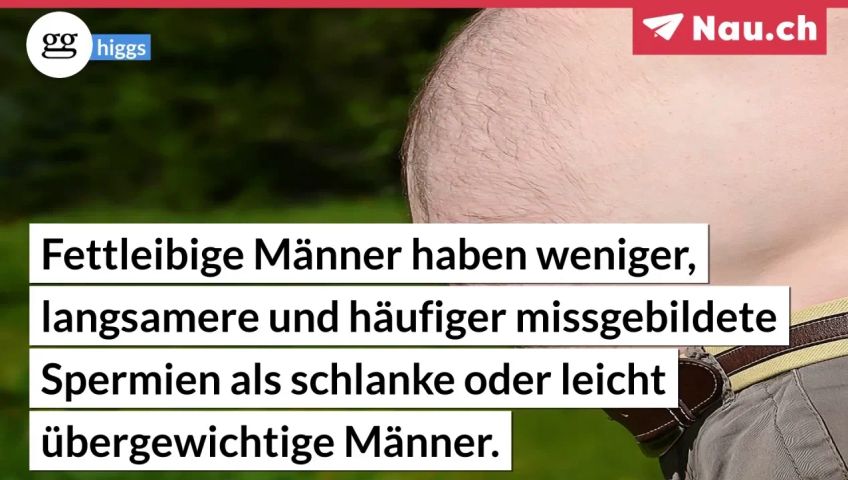 screenteaser-fur-artikel