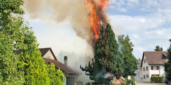 Durch den Brand zusätzlich ein Gartenzaun sowie ein Briefkasten beschädigt, verletzt wurde niemand. Brand