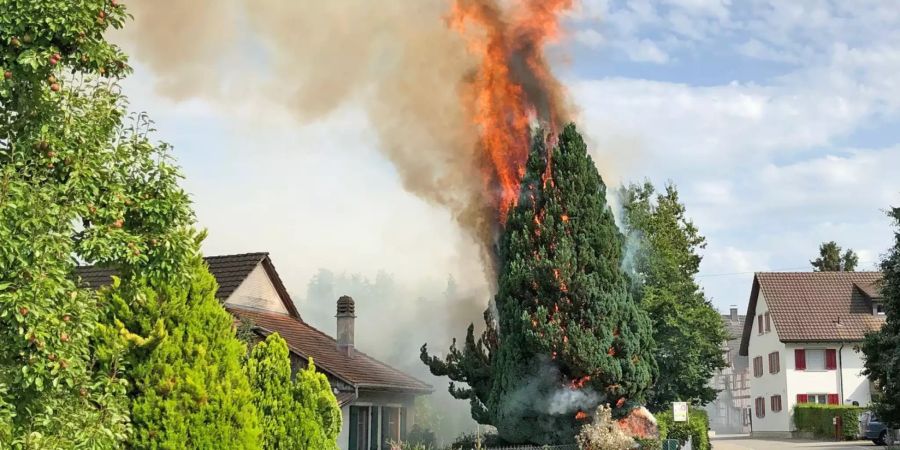 Brand