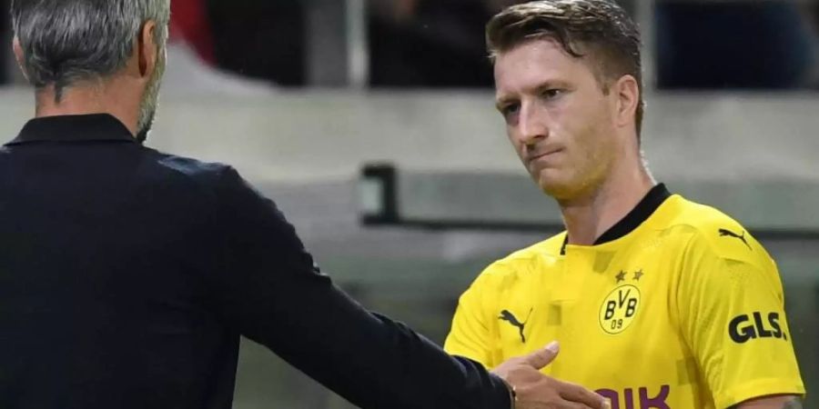BVB-Cheftrainer Marco Rose (l) kann sich eine Nationalmannschaftsrückkehr von Marco Reus gut vorstellen. Foto: Arne Dedert/dpa