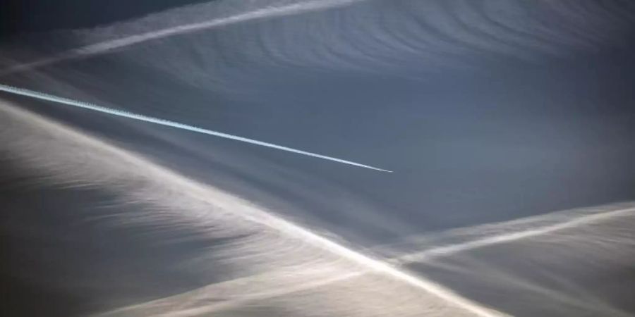 Kondensstreifen am Himmel. Foto: Federico Gambarini