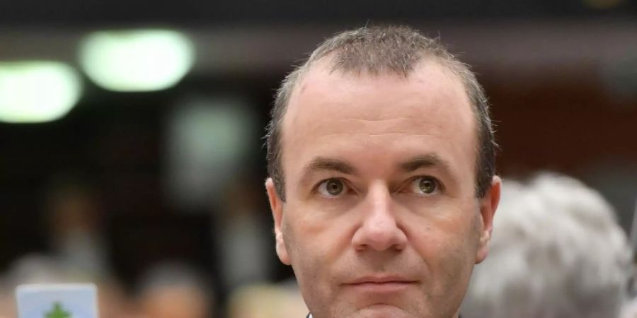 Manfred Weber, Spitzenkandidat der EVP