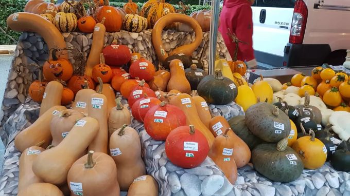 Der Biohof Siegrist ist jeweils auch am Gemüsemarkt Aarau anzutreffen. Kürbisse Biohof Siegrist Küttigen