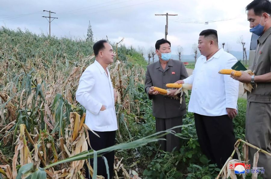 Dieses Ende August von der staatlichen nordkoreanischen Nachrichtenagentur KCNA zur Verfügung gestellte Foto zeigt Kim Jong Un (2.v.r), der während eines Besuchs in der Provinz Hwanghae-namdo einen Maiskolben hält.
