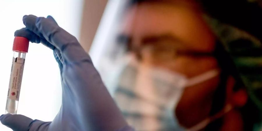 Seit Samstag können sich Reiserückkehrer kostenlos auf das Coronavirus testen lassen. Foto: Britta Pedersen/dpa-Zentralbild/dpa