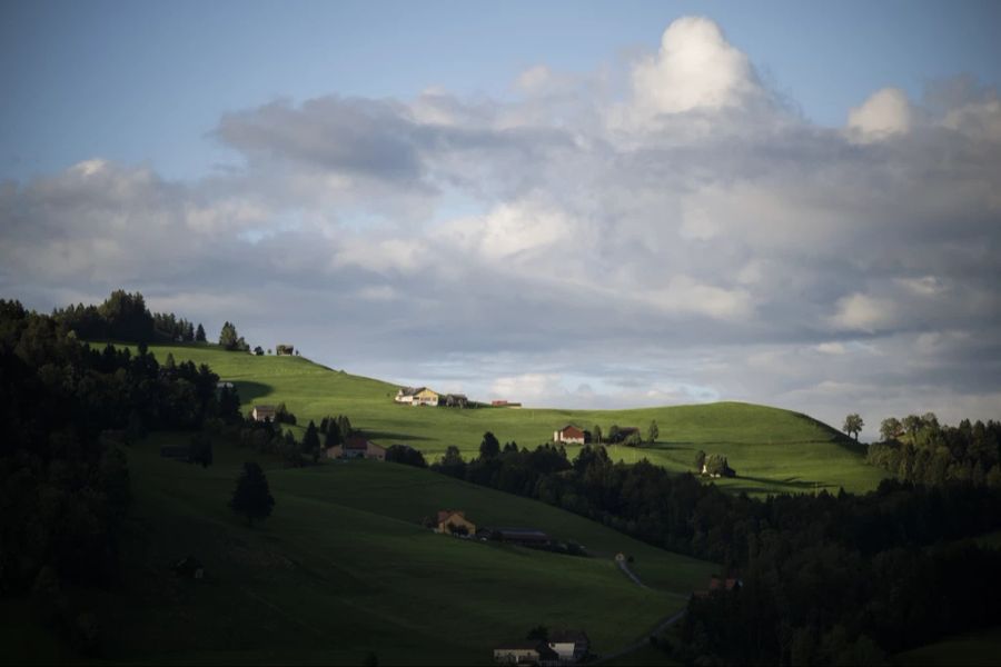 Der Herbst lässt auf sich warten. Derzeit liegen die Temperaturen deutlich über der Norm.