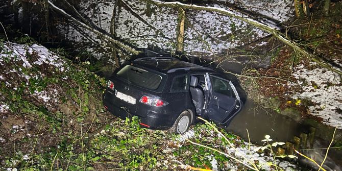 fahrunfähiger Autofahrer