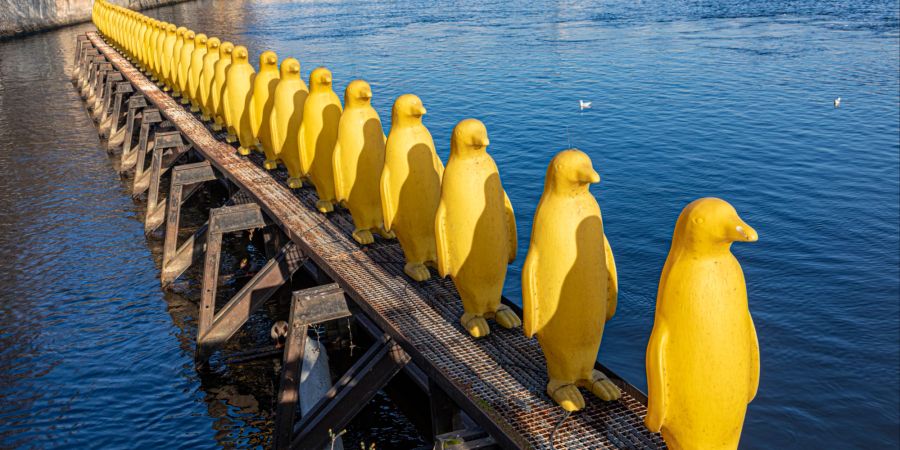 Die gelben Pinguine auf der Vltava nahe der Kampa sollen eine Aufforderung zum Klimaschutz darstellen.